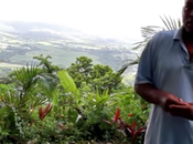 agriculteur Martinique