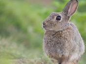 Pour photos restent dans leurs têtes années