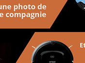 Votez pour gagnant notre concours journée internationale chat