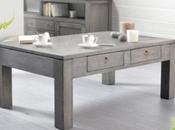 Table basse grise cher table