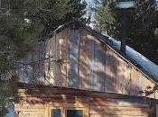 Lecture Sylvain Tesson Dans forêts Sibérie