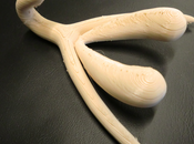 Quand prof découvre qu'est vraiment clitoris