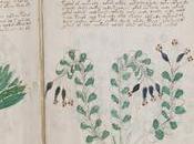 A-t-on trouvé pour déchiffrer manuscrit Voynich