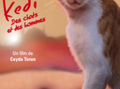 Présentation documentaire KEDI chats hommes