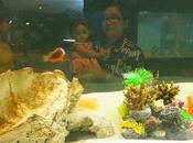 juin 2017 Mélanie l’aquarium Nong Khai