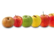 Recap recettes avec pommes