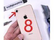 L’iPhone soumis tests torture pliabilité