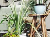 Tips comment prolonger l'été lorsque froid arrive