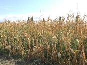 Rencontres journée producteurs avec Potager City