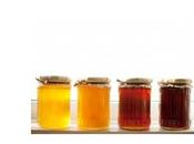 PESTICIDES miels sont contaminés