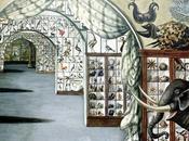 Année 1806 vente Leverian Museum