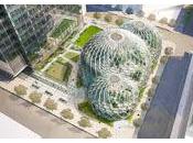 Avantages fiscaux surévaluées