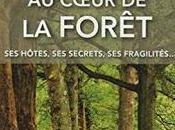 forêt, univers féerique explorer