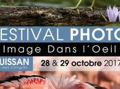 Gruissan Festival Photo Image Dans l’Oeil octobre