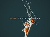 #Decouverte #Flox nouvel album clip Taste Grey