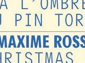 Sérignan Vernissage expositions Simon Starling Maxime Rossi novembre