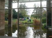 Collection Beyeler Coopérations