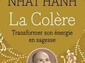 colère Thich Nhat Hanh