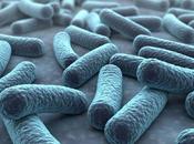 CANCER microbiote médie réponse traitement