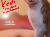 fondation millions d’amis s’associe sortie Kedi cinéma décembre