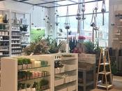 L'art table festive chez Zaxe