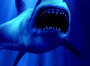 [NEWS] suite pour requins Peur Bleue