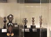 Quand chantent aras dans forêt natales