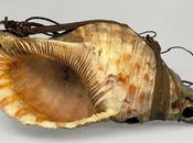 Marquises Göttingen