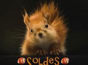 soldes, aujourd’hui demain