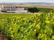 Champagnes pour Fêtes…et autres jours