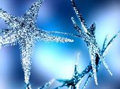 Mettez-vous dans l'esprit fêtes créant cartes vœux avec Canva iPhone