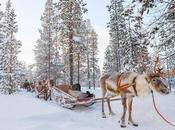 1461. Merci famille Noël