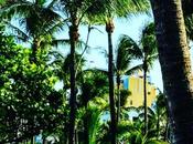 Très beau réveillon solidarité avec celles ceux souffrent