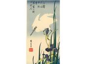 Meilleurs Voeux quelques Haïkus