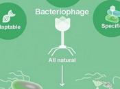 ANTIBIORÉSISTANCE Phages contre superbactéries