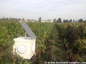 Quand musique remplace pesticides