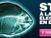 L'UE veut généraliser "poissons électrocutés" dans assiettes