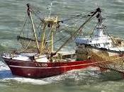 parlement européen vote l'interdiction totale pêche électrique