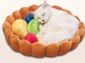 Japon panier pour chat tarte fruits