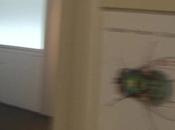 Science Animation (Les bons ingrédients d’une exposition