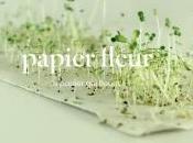 Dites-le avec papier écologique fait pousser fleurs