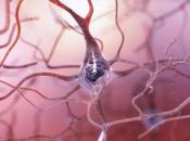 MÉMOIRE neurones sens rythme
