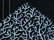 Chronique d’Amérique latine Sergio Ramírez