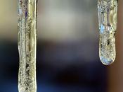 idées photo macro hiver