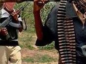 Nigeria centaines présumés membres Boko Haram recouvrent liberté