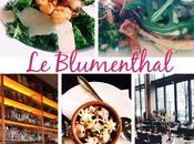 Montréal lumière festival rêve