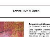 Galerie METZ Vernissage Vendredi Mars 2018