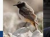 Rencontre avec Jean Rolin l’Échappée Belle Sète