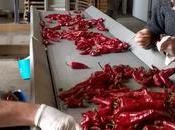 Maison Malnou Poey Lescar