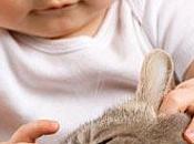 Anti-puces pour animaux, danger chez l'enfant